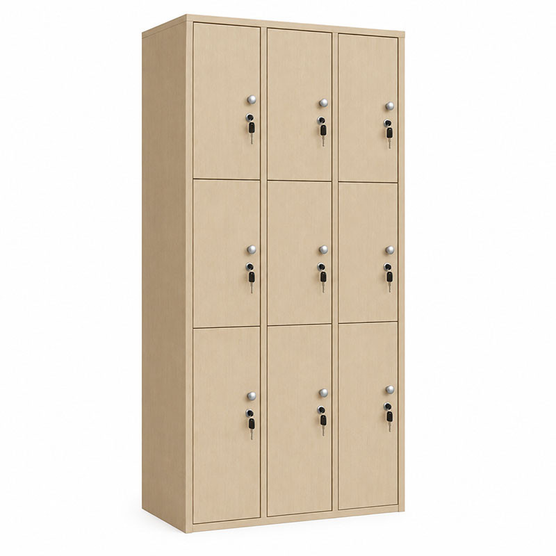 D6569 Ντουλάπι Locker Ξύλινο 9φυλλο 90x40x185εκ - vougioukas.gr