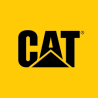 Cat Lights